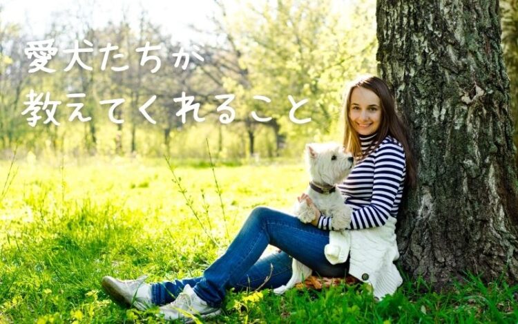 犬が教えてくれたこと、悲しみを生きる糧にする